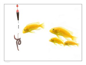 新能源汽车充电桩安装全流程，省心省钱攻略